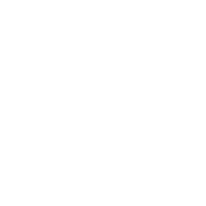Alvines Cakes