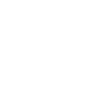 FLOX PNG LOGO