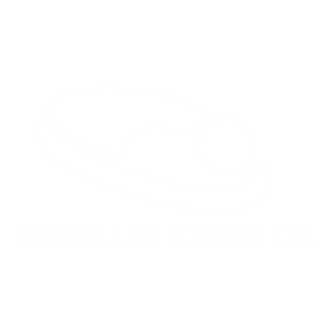 copalit logo