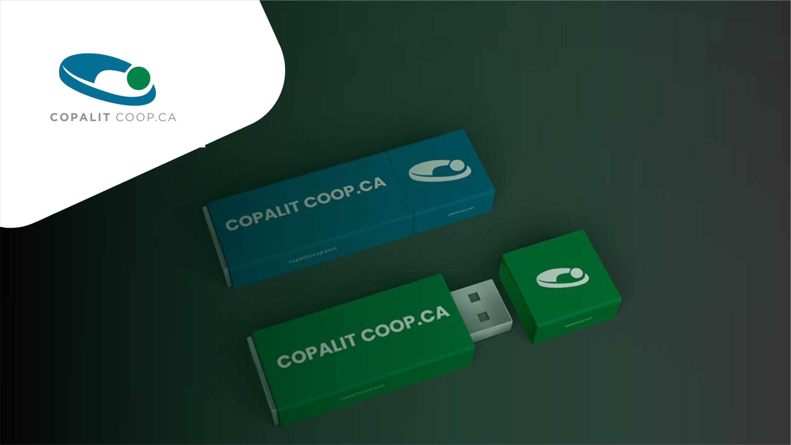 copalit main