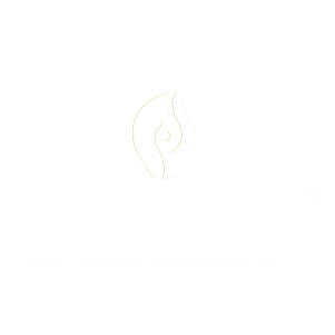 hop.sarl logo
