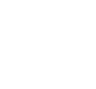 ns chicken png logo