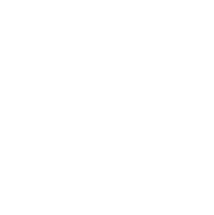 v logo