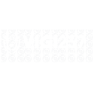 vigi 237